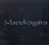 Mandragora Brasil - Mandrágora